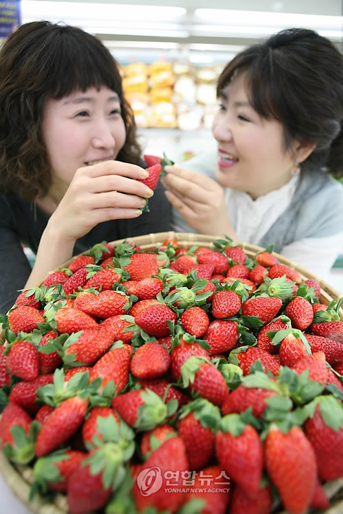 사천농협연합하나로마트 이미지