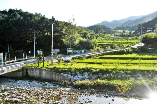 연꽃마을한우 이미지