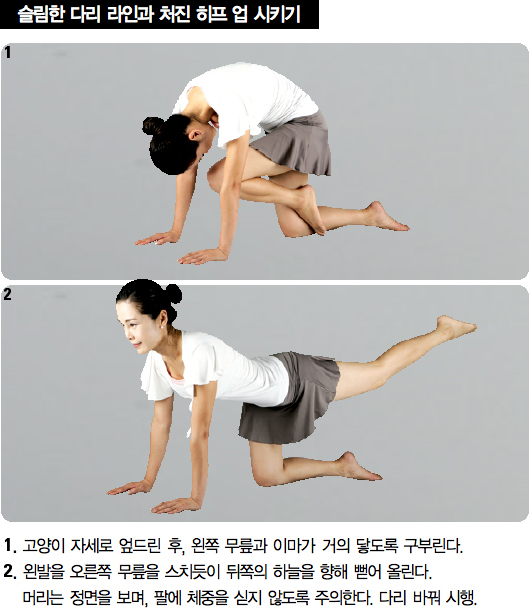 명품스트레칭 이미지