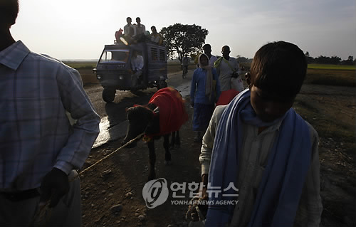 히마이 이미지