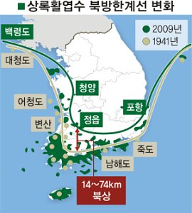 활엽수 이미지