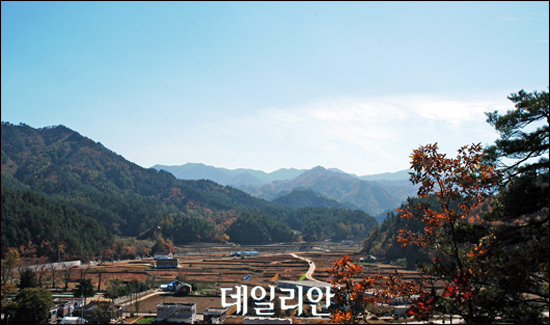 현성개발 이미지