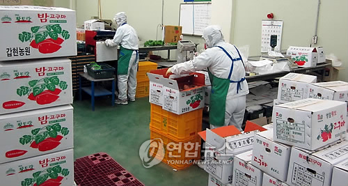 순천농협농산물산지유통센터 이미지