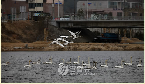 탐진환경 이미지