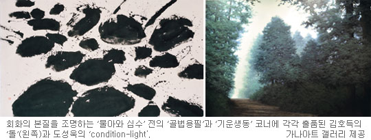 심수 이미지