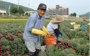 일오삼미디어 이미지