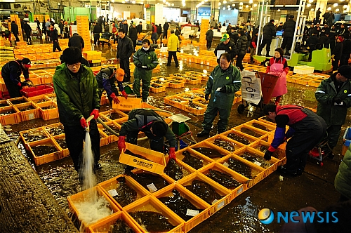 싱싱활어수산 이미지