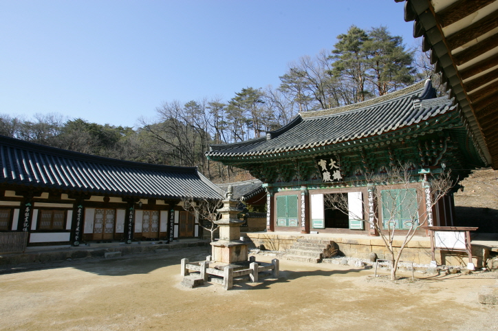 옹골진 이미지