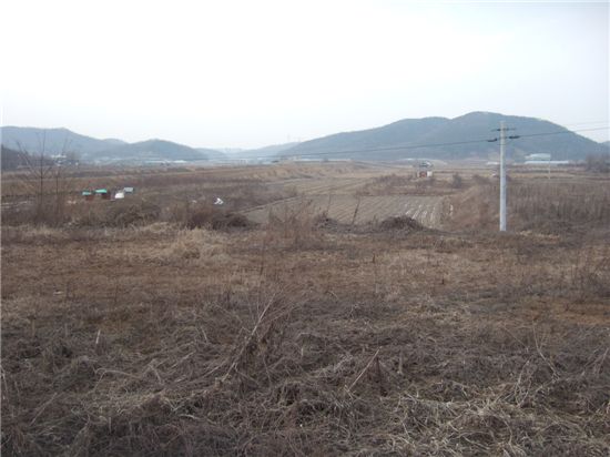 마전주유소 이미지