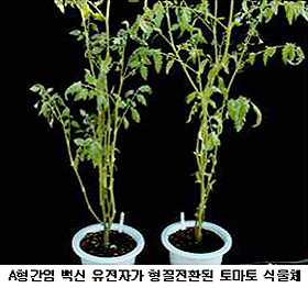 길식품 이미지