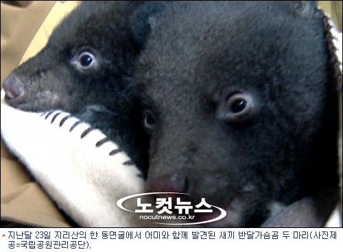 지리산밧데리 이미지