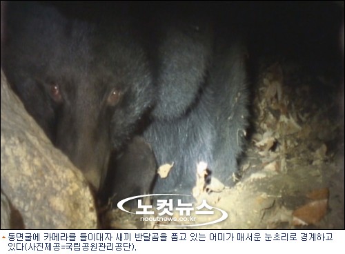 지리산밧데리 이미지