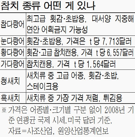 국제식탁 이미지