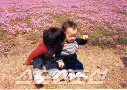 메모리스타 이미지