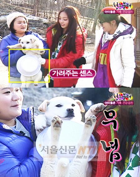 센스쟁이 이미지