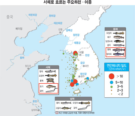 서해 이미지