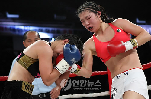 남지연합정보 이미지