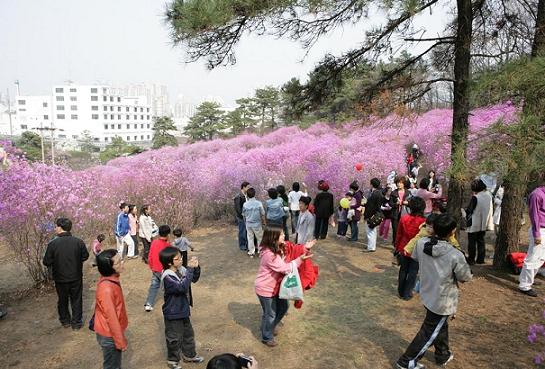 (주)효성 안양공장 이미지