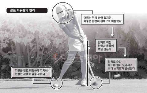 사이언스골프 이미지