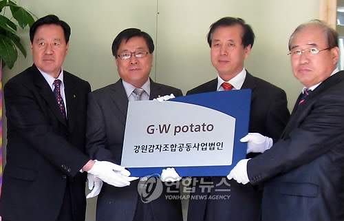 강원감자농협조합공동사업법인 이미지