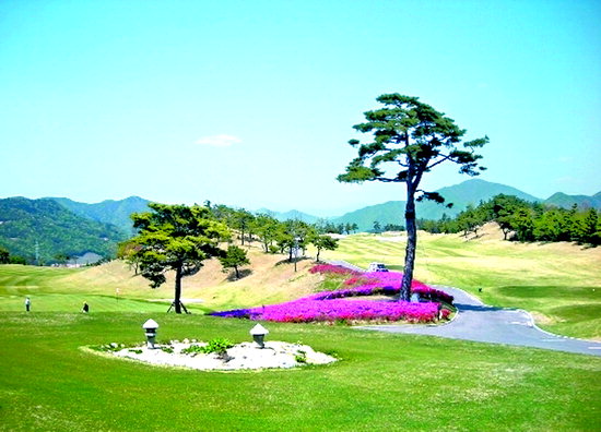 삼일개발주식회사 이미지