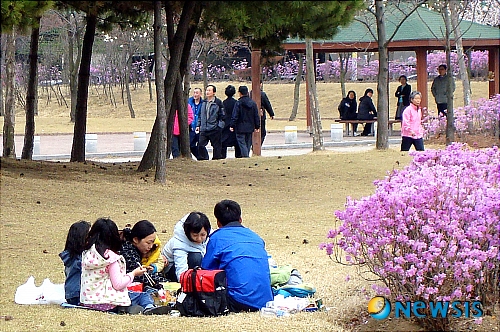 보라빛봄 이미지