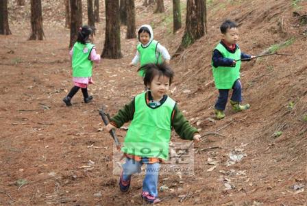 숲유치원 이미지