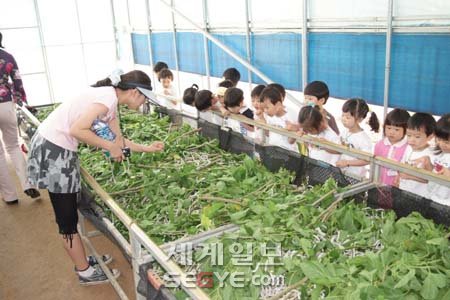 (사)대한잠사회 이미지