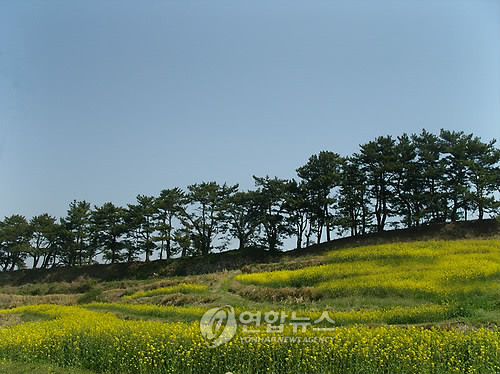 땅끝문화 이미지