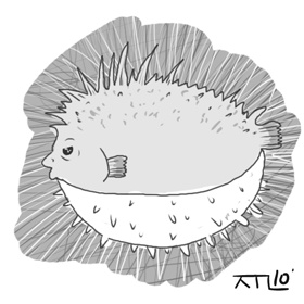 복어세상 이미지