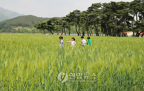 보리모바일 이미지