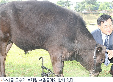 제주흑우주식회사 이미지
