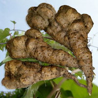 마는끼니 이미지