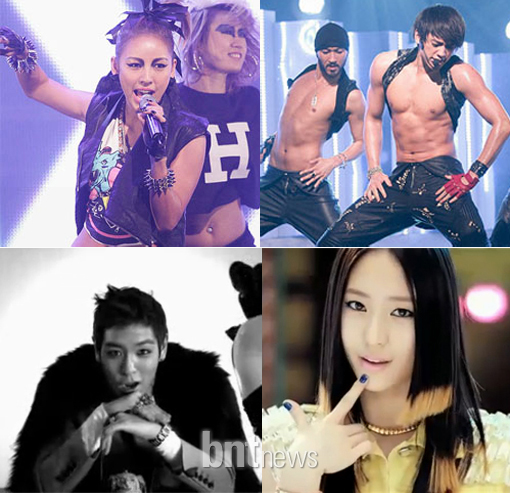 와일드바디 이미지