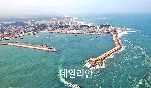 대한싸이로(주) 이미지