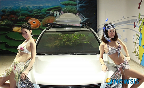 부산Fish 이미지