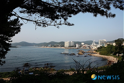 구로본갈매기 이미지