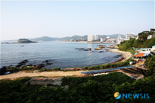 구로본갈매기 이미지