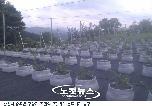 씨웰빙하우스 이미지