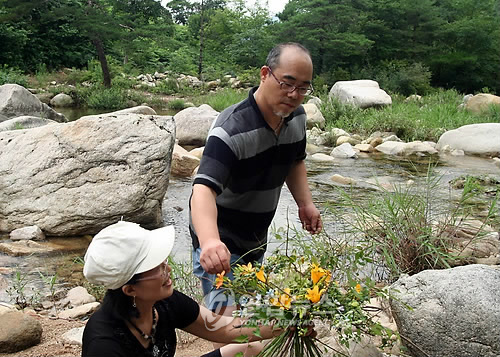 뉴스플라워.조경 이미지