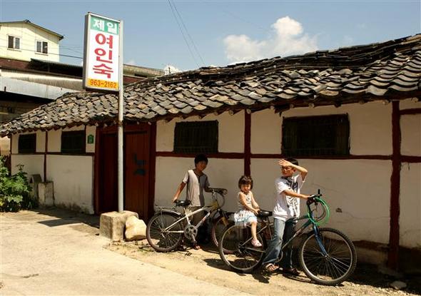 천년숲 이미지