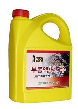 금강토탈패션 이미지
