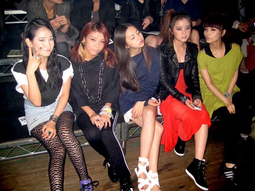 스타21 이미지