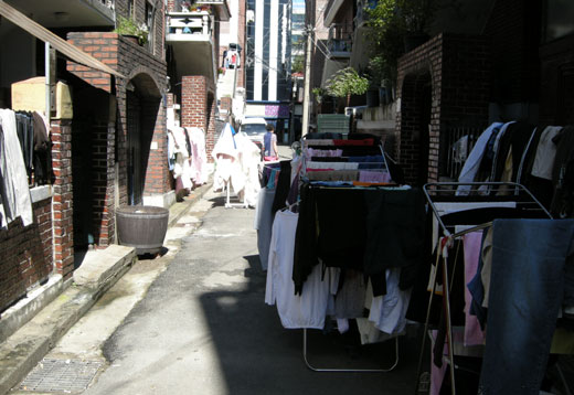 반지하 이미지