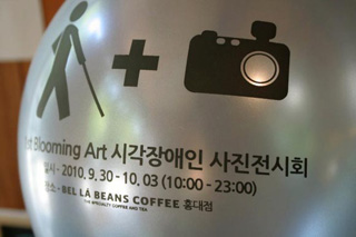 벨라빈스 이미지