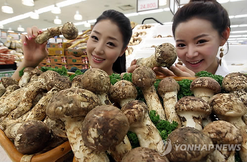 대풍유통 이미지