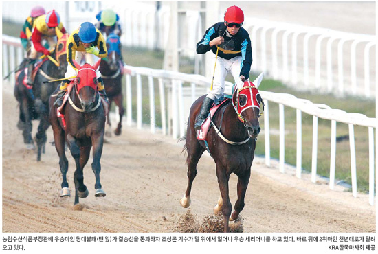 경마장호프 이미지