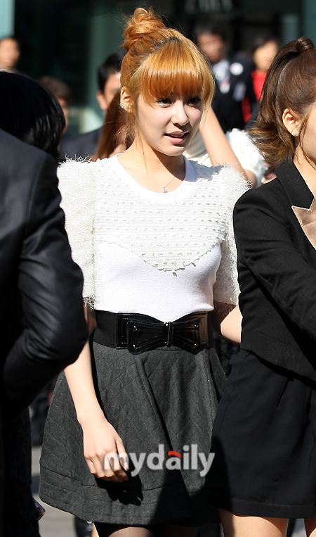 금빛칼라 이미지