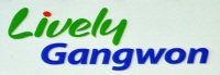 금강국제여행사 이미지
