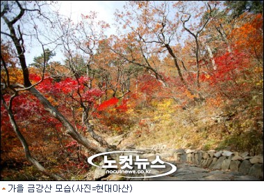 (주)소리여행사 이미지